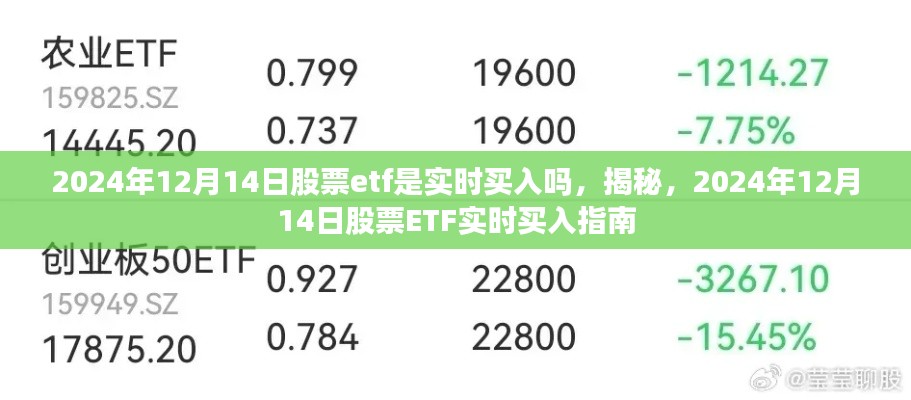 揭秘，2024年12月14日股票ETF实时买入指南与操作揭秘