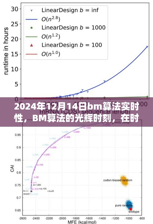 BM算法的实时性，掌握未来力量的光辉时刻（2024年12月14日）