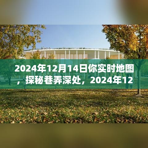 探秘实时地图，巷弄深处的隐藏瑰宝，揭秘2024年12月14日神秘宝藏