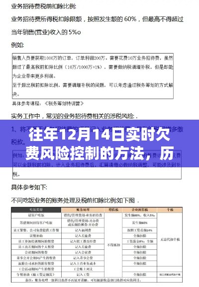 历年12月14日实时欠费风险控制策略深度解析与应对方法探讨