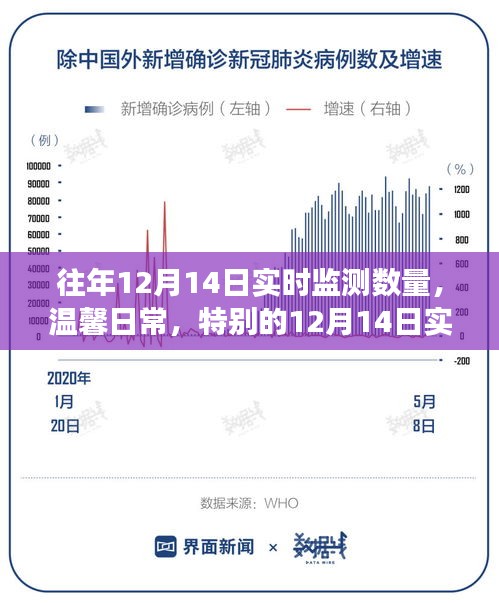 特别的日子，12月14日实时监测数量与温馨日常之旅