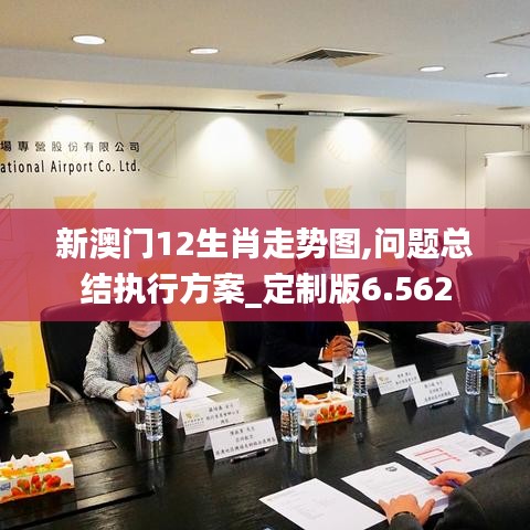 新澳门12生肖走势图,问题总结执行方案_定制版6.562