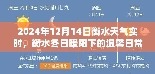 衡水冬日暖阳下的奇遇，2024年12月14日天气实时与温馨日常