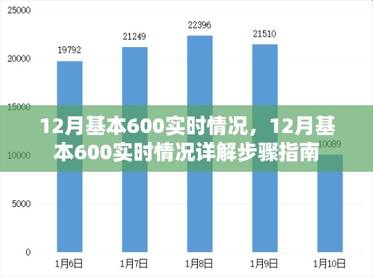 12月基本600实时情况详解与步骤指南