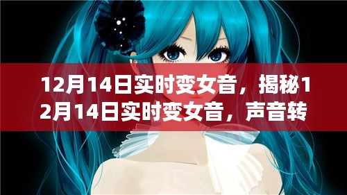 揭秘，12月14日实时变女音背后的神秘技术