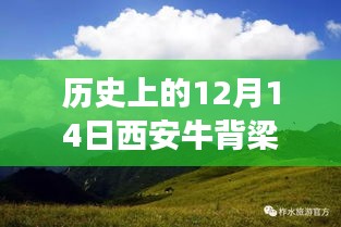 探寻西安牛背梁的历史天气与地域特色交融，12月14日的实时天气回顾