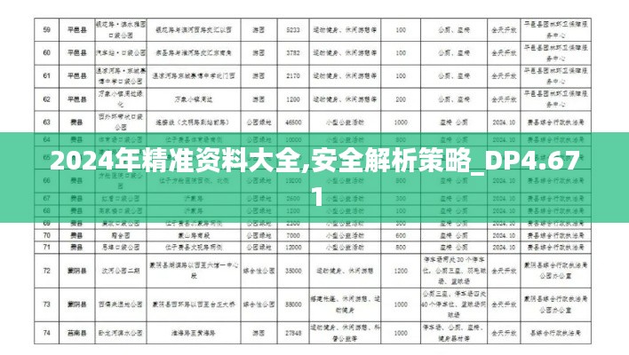 2024年精准资料大全,安全解析策略_DP4.671