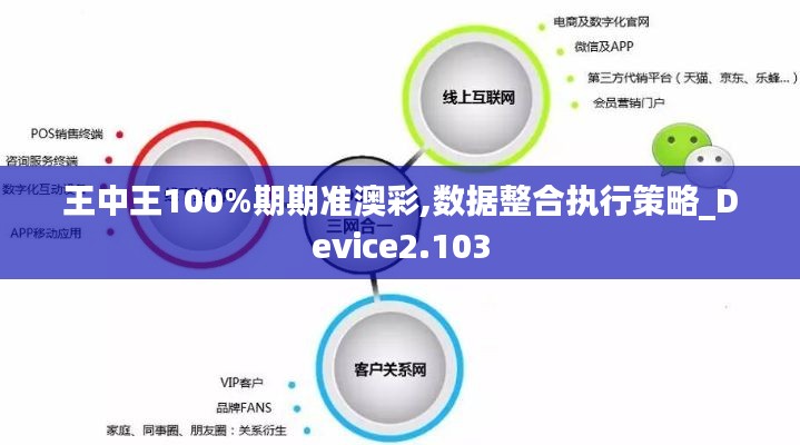 王中王100%期期准澳彩,数据整合执行策略_Device2.103