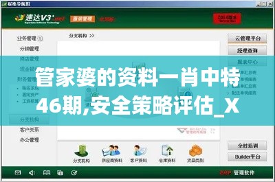 管家婆的资料一肖中特46期,安全策略评估_XR19.265