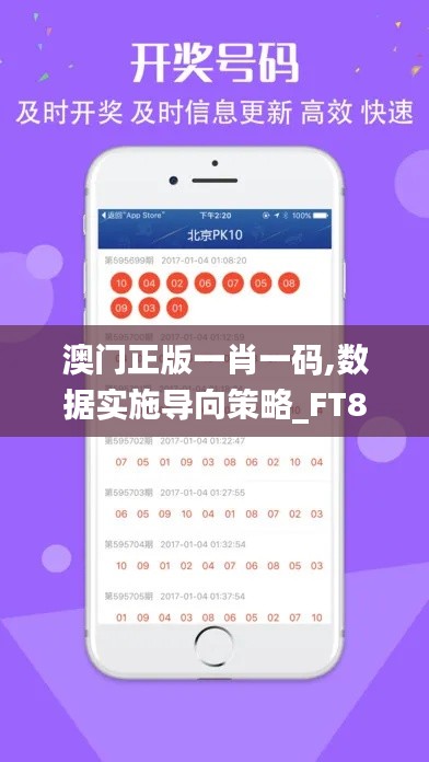 澳门正版一肖一码,数据实施导向策略_FT8.981