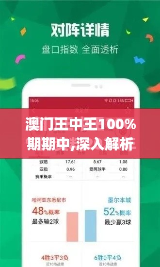 澳门王中王100%期期中,深入解析数据策略_WP110.659