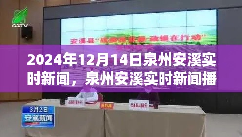 泉州安溪实时新闻播报，聚焦2024年12月14日发展动态