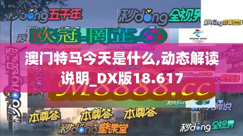 澳门特马今天是什么,动态解读说明_DX版18.617