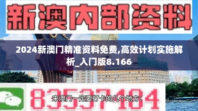 2024新澳门精准资料免费,高效计划实施解析_入门版8.166