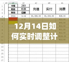 12月14日实时调整计划表格格式，初学者与进阶用户详细指南