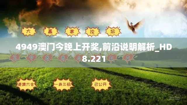 4949澳门今晚上开奖,前沿说明解析_HD8.221