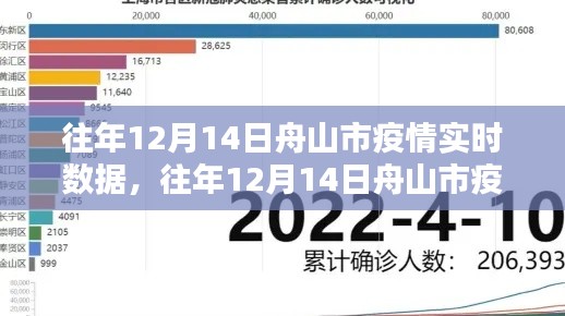 往年12月14日舟山市疫情实时数据深度解析与产品评测报告