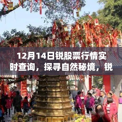 12月14日锐股票行情实时查询，心灵之旅探寻自然秘境的股市动态