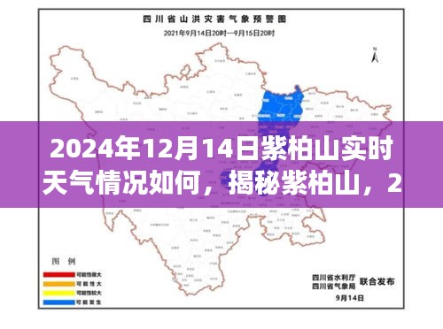 揭秘紫柏山，2024年12月14日实时天气洞察与详细情况分析