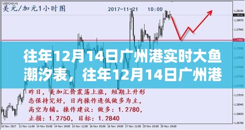 往年12月14日广州港潮汐表深度解析，大鱼潮汐实时数据与介绍