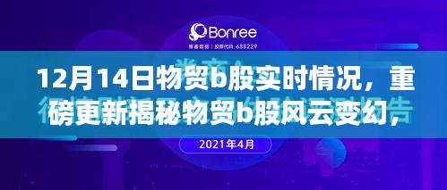 揭秘物贸B股风云变幻，深度解析实时动态