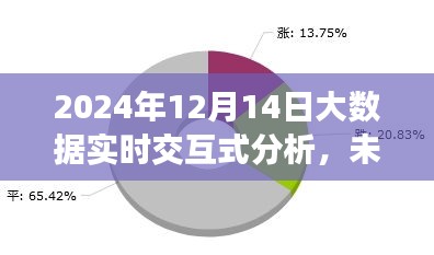 2024年大数据实时交互式分析深度探索，未来视角与实时数据洞察