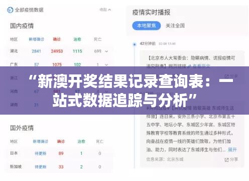 “新澳开奖结果记录查询表：一站式数据追踪与分析”