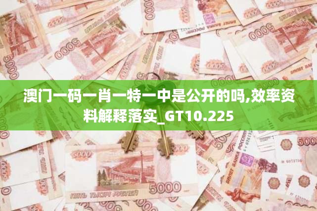 澳门一码一肖一特一中是公开的吗,效率资料解释落实_GT10.225