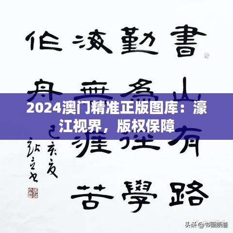 2024澳门精准正版图库：濠江视界，版权保障