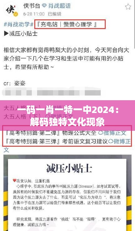 一码一肖一特一中2024：解码独特文化现象