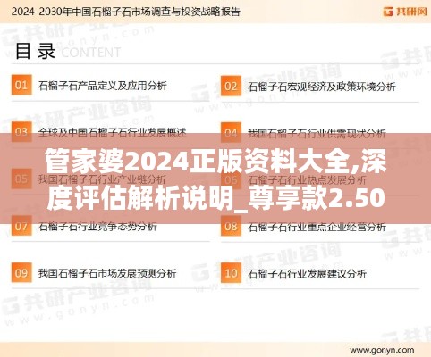 管家婆2024正版资料大全,深度评估解析说明_尊享款2.505