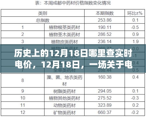 12月18日电价探秘之旅，实时查询与历史洞察