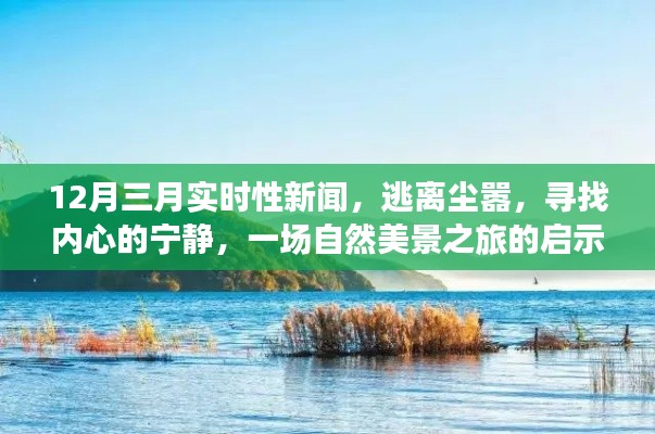 自然美景之旅启示录，逃离尘嚣，聚焦实时新闻下的心灵宁静