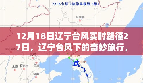 辽宁台风下的探索之旅，自然美景与心灵港湾的奇妙体验（实时路径报道）