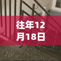 狗狗眼中的特殊日子，温馨监控下的狗狗视角与情感观察之旅——狗狗眼中的十二月十八日