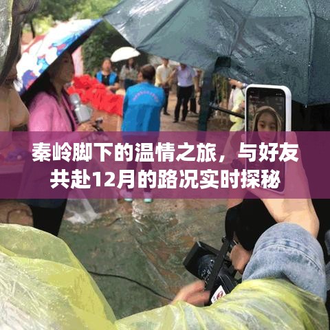 秦岭脚下温情之旅，12月路况实时探秘与好友同行