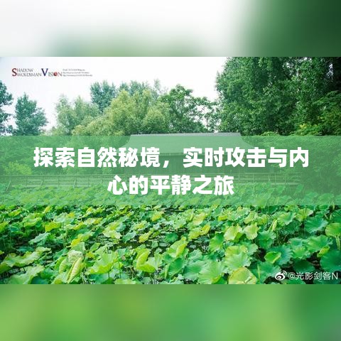 自然秘境探索，攻击与内心平静的双重旅程