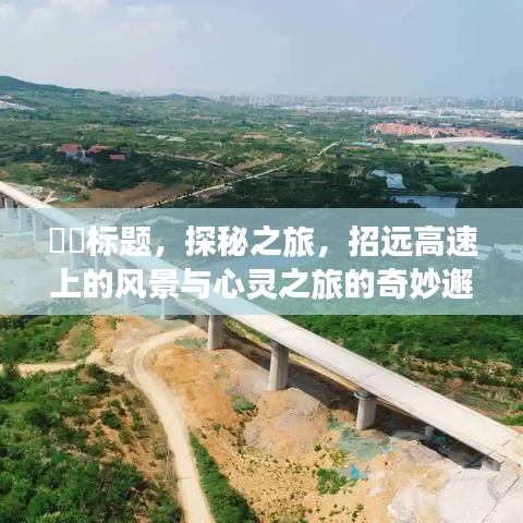 探秘之旅，招远高速风景与心灵邂逅，实时路况查询前瞻报告（附日期）