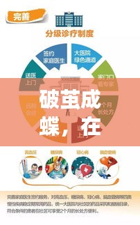 UC肺炎实时下的学习变革与自我超越，破茧成蝶之旅