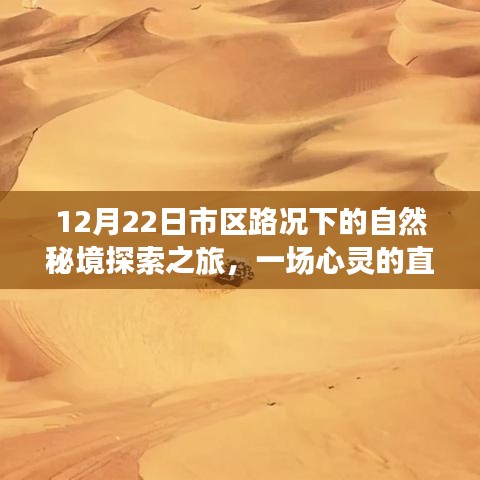 心灵直播秀，市区路况下的自然秘境探索之旅