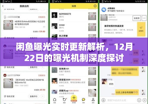 闲鱼曝光机制深度解析，实时更新与12月22日曝光机制探讨