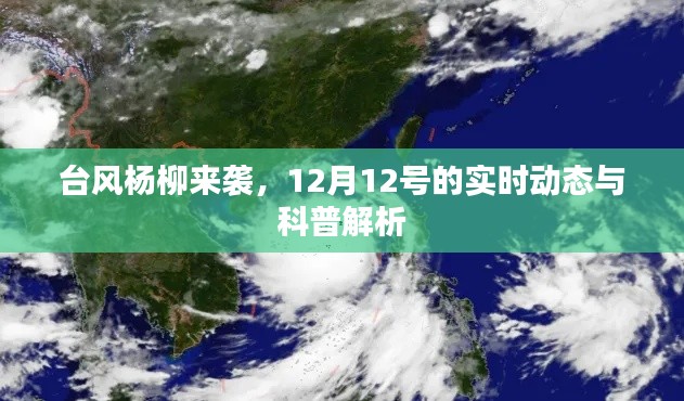 台风杨柳来袭，实时动态与科普解析（12月12日）