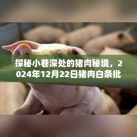 探秘猪肉秘境，揭秘猪肉白条批发新风尚，2024年12月22日深度报道