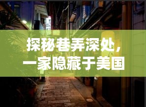 探秘美国繁华背后的巷弄特色小店，冬日数据播报与独特风味揭秘