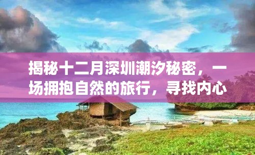 揭秘深圳十二月潮汐之谜，拥抱自然的旅行，寻觅内心宁静港湾