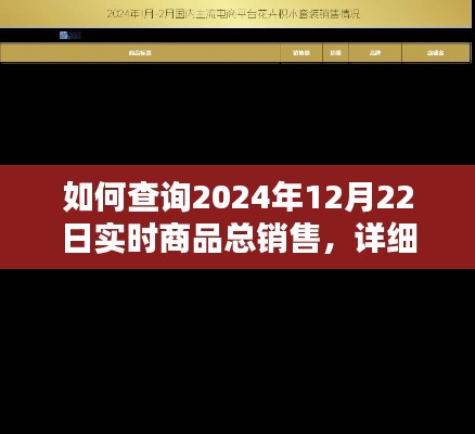 2024年12月22日实时商品总销售查询详细步骤指南