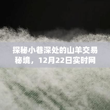 探秘小巷深处的山羊交易秘境，一场独特的实时网购奇妙之旅（12月22日）