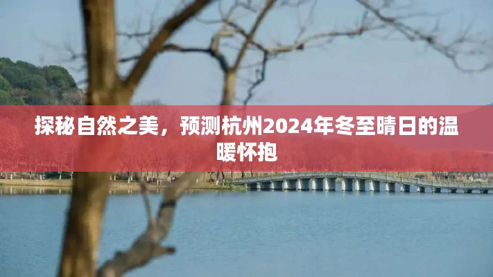 探秘杭州自然之美，2024年冬至晴日的温暖预测