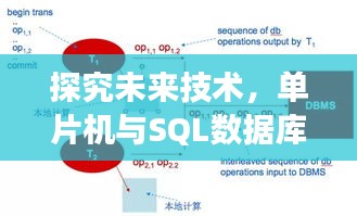 未来技术展望，单片机与SQL数据库实时同步的潜力与挑战（观察点，2024年12月22日）