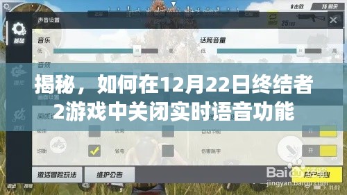 揭秘，如何在游戏终结者2中禁用实时语音功能